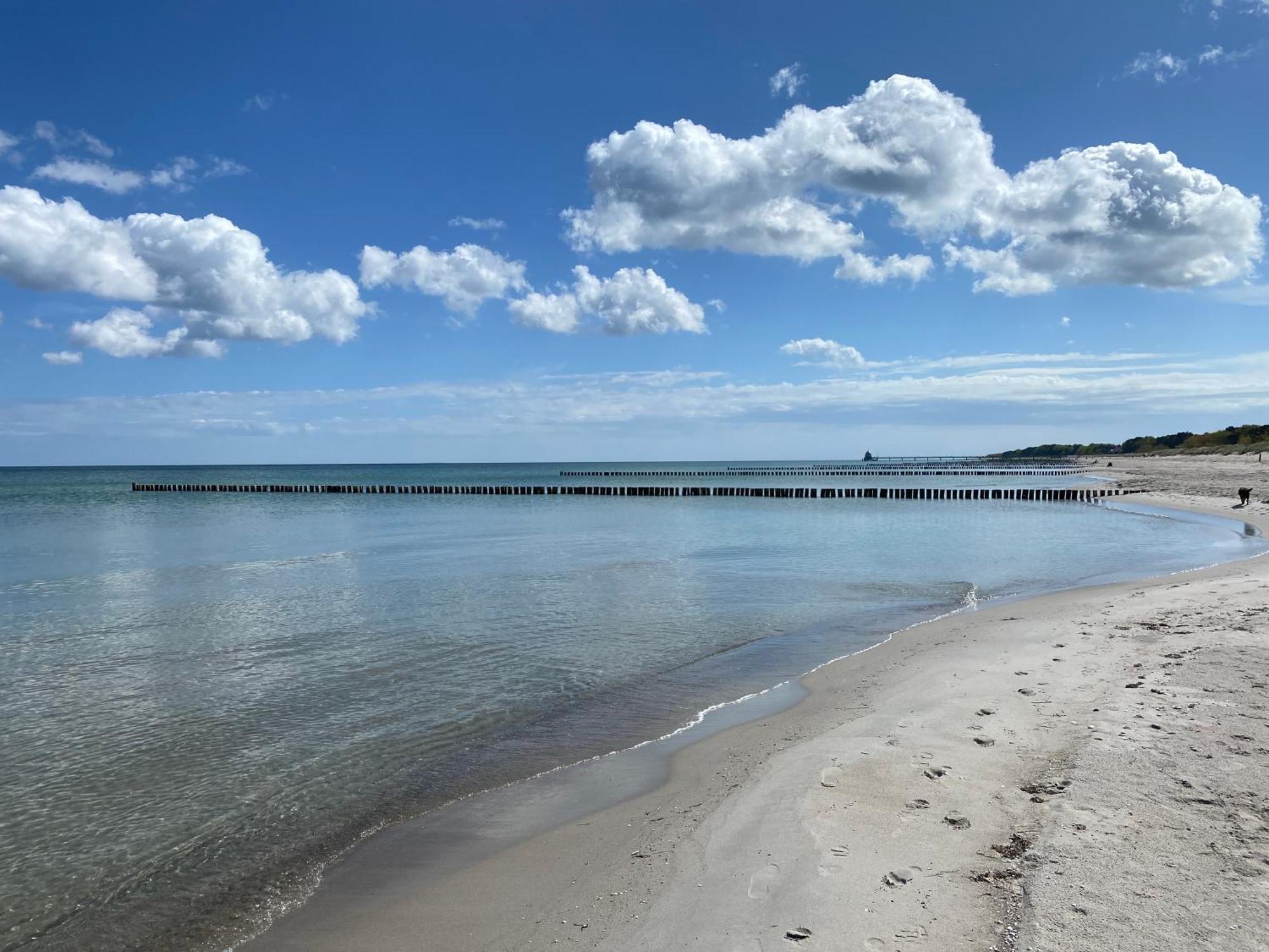 Schwalbennest Villa Zingst Eksteriør bilde